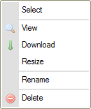 File context menu in CKFinder