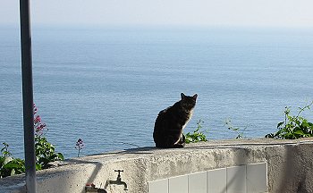 Vista mare da Corniglia