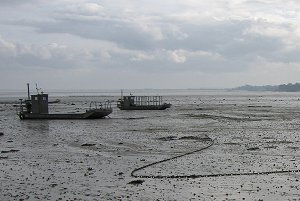 Passeggiando sul fondo del mare durante la bassa marea