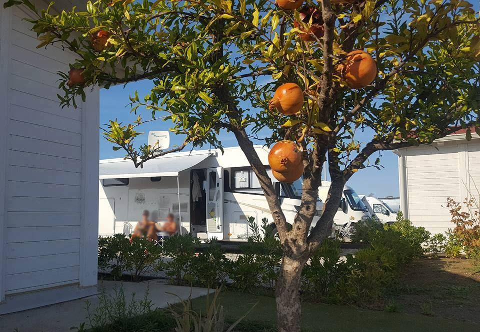 Agricampeggio Alessandra