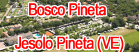 Bosco Pineta
