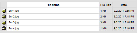 CKFinder Files Pane with List view