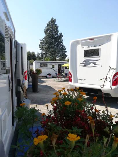 Laika expo da Ropa a Bologna