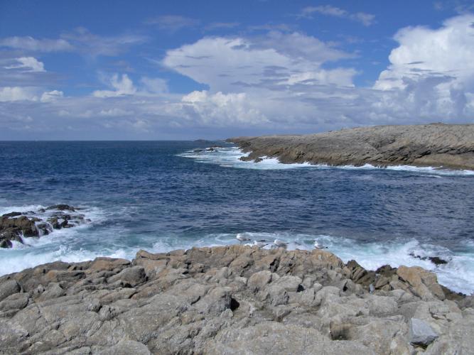 038)%20Quiberon%20cote%20sauvage.JPG