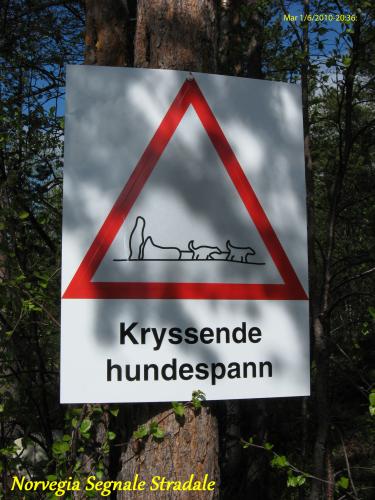 2010-06-01-(20-36-18)-Norvegia-Segnale-stradale-1.jpg