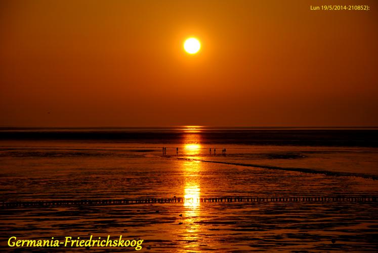 2014-05-19-(210852)-Germania-Friedrichskoog.jpg