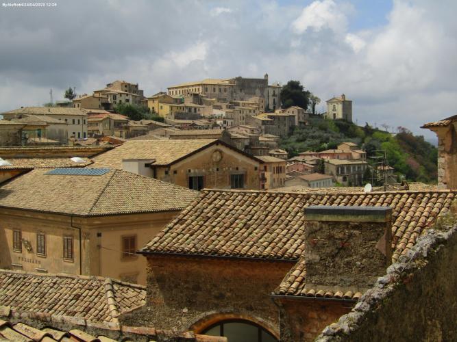 2023Arpino0067.jpg