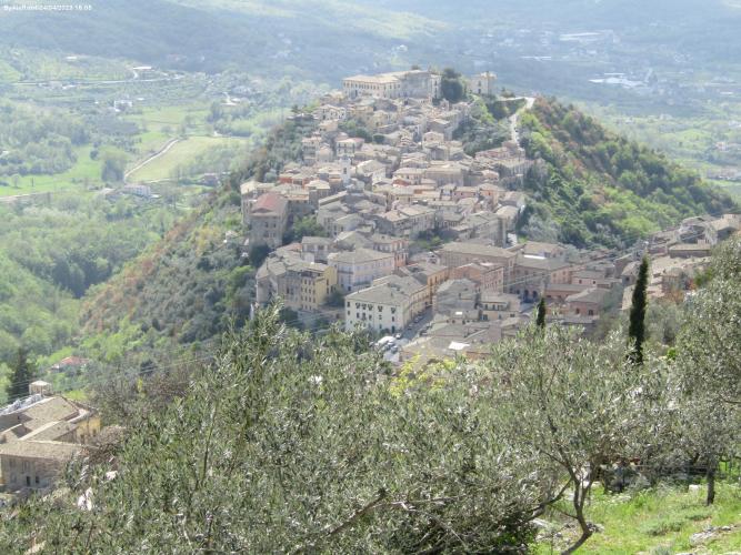 2023Arpino0127.jpg