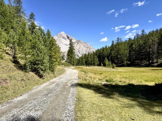 Alpi%20Piemontesi190(1).jpeg