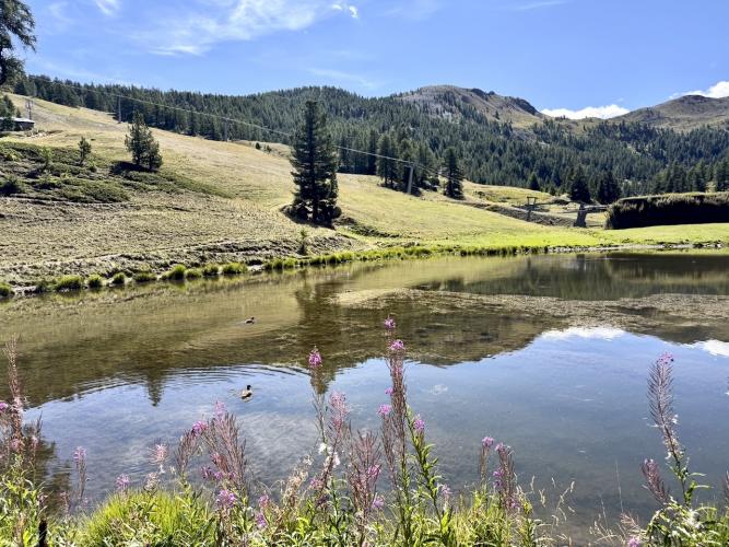 Alpi%20Piemontesi192.jpeg
