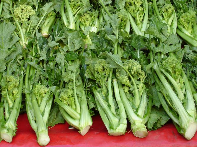 Cime-di-rapa.jpg