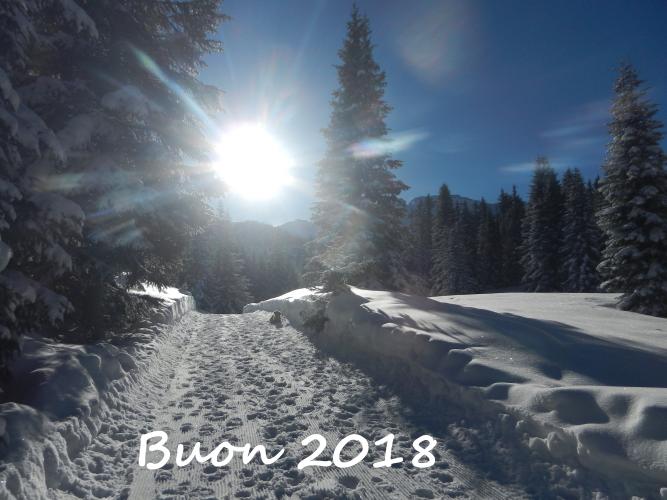 DSCN6148Buon%202018.jpg