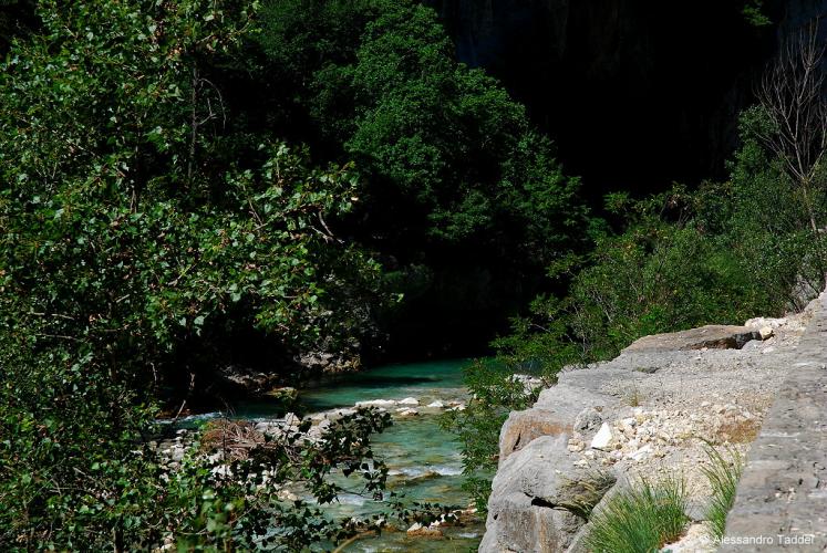 DSC_0443%20Verdon.JPG