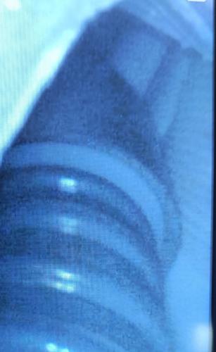 IMG_20260419_200245.jpg
