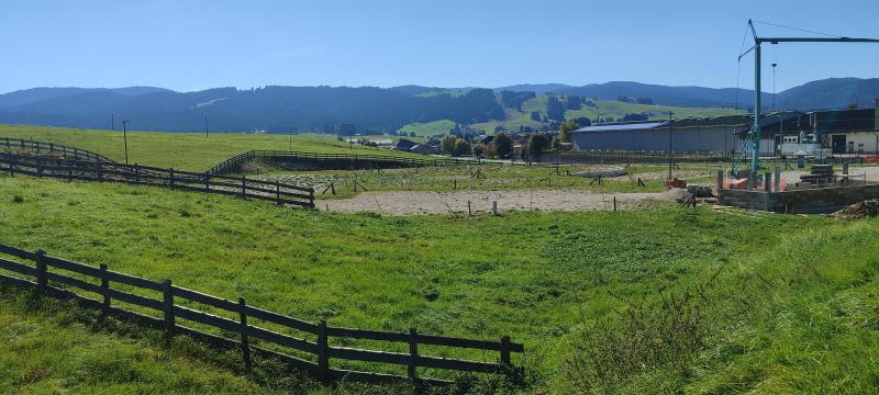 IMG_20261003_113211.jpg