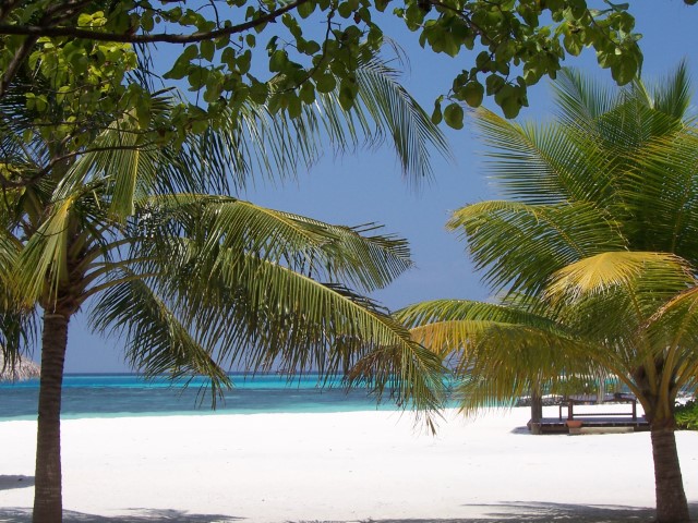Maldive%20febb2008%20(151)%20(Piccola).JPG