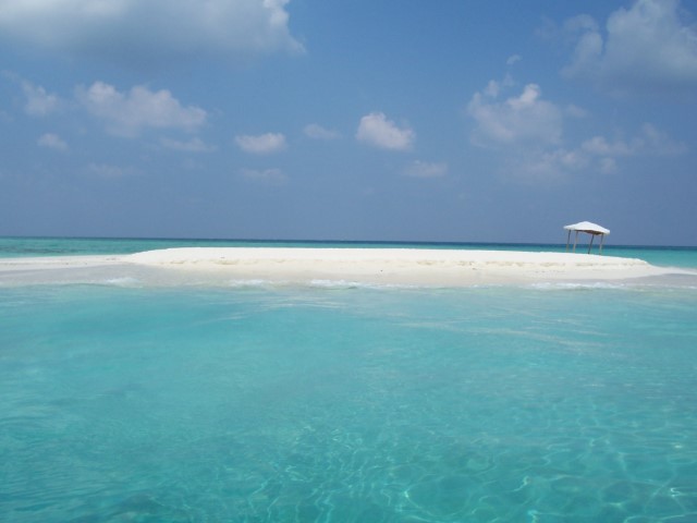 Maldive%20febb2008%20(288)%20(Piccola).JPG