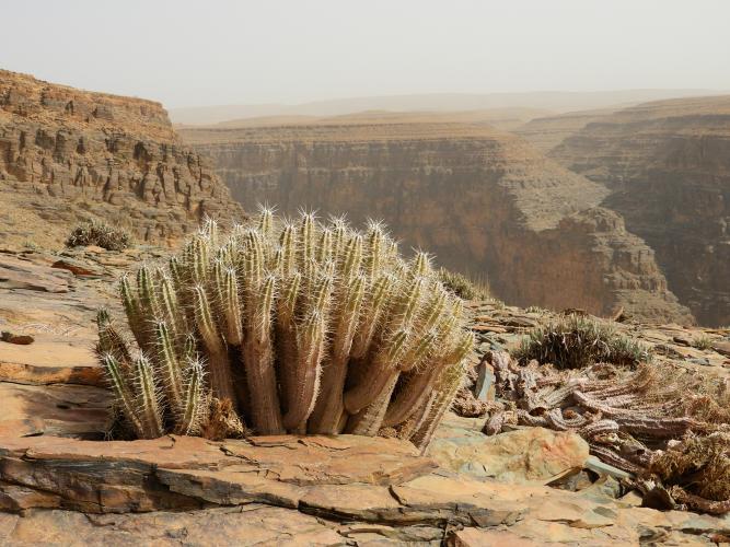 Marocco%202024%20600(1).JPG