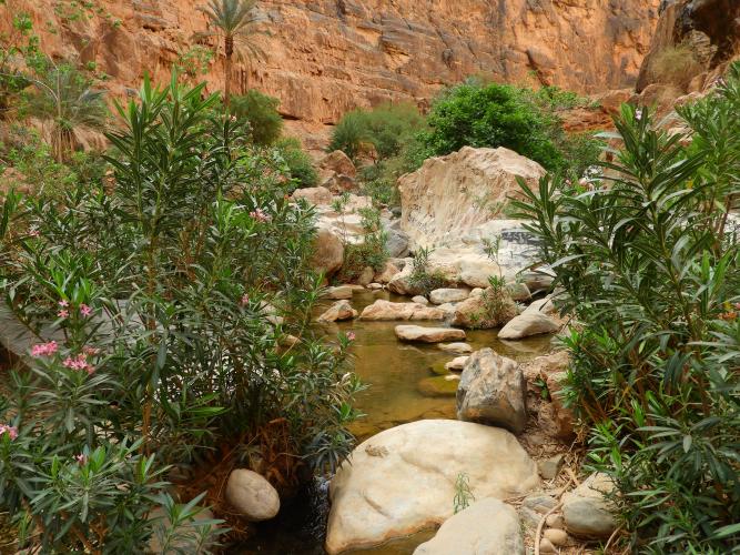 Marocco%202024%20649(3).JPG