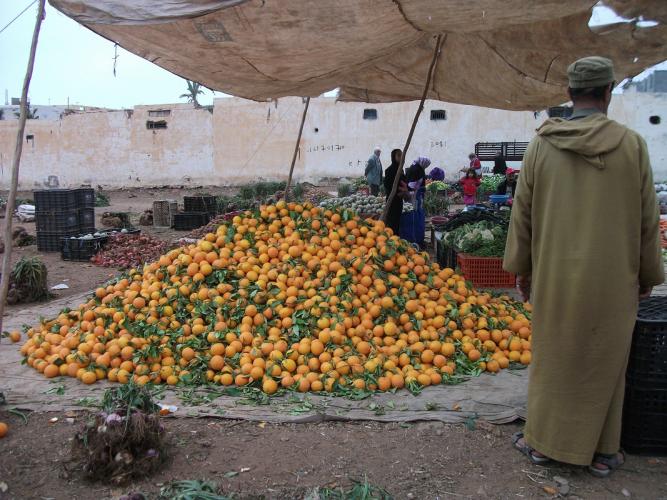 Marocco-%202013-%20Carla%20456%20ampliata(5).jpg
