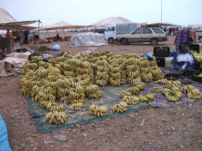Marocco-%202013-%20Carla%20461(4).JPG