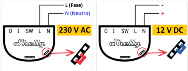 Shelly%2012V%20schema%20PIN.PNG