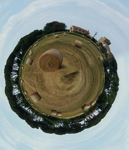 SmallPlanet-2017-06-18_11-23-21.jpg