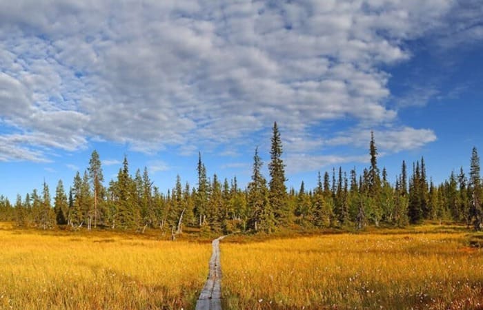 Urho-Kekkonen-993693828.jpg