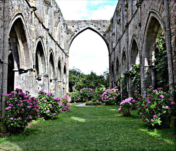 abbaye_de_Beauport(1).jpg