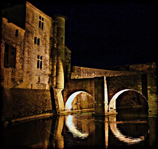 aigues%20mortes.jpg