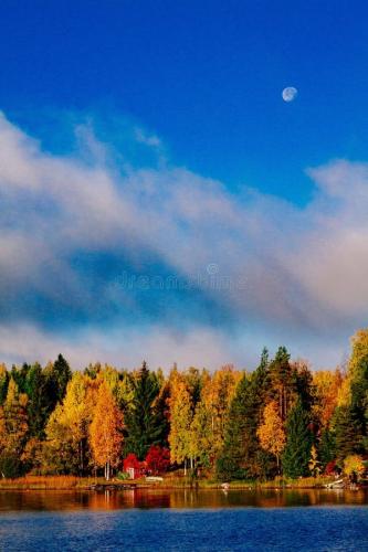 autumn-foliage-fall-colorful-forest-over-blue-lake-red-cabins-finland-wooden-154706088-2012876188(1).jpg