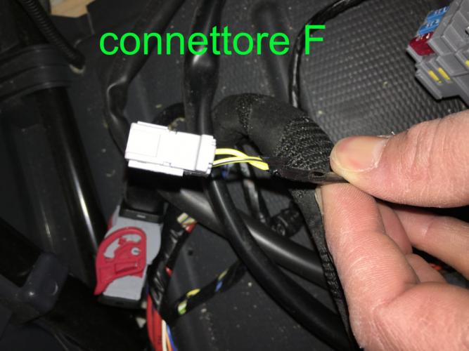 connettore%20F%20(FILEminimizer).jpg