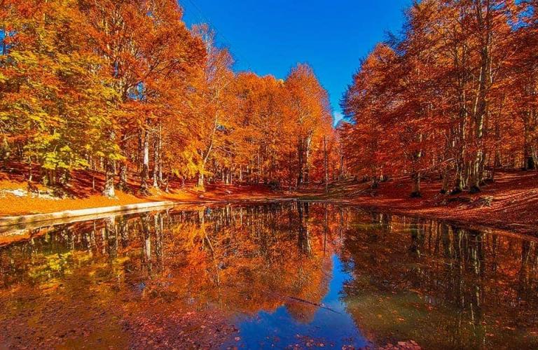 foliage_autunno_lazio-1037344426(1).jpg