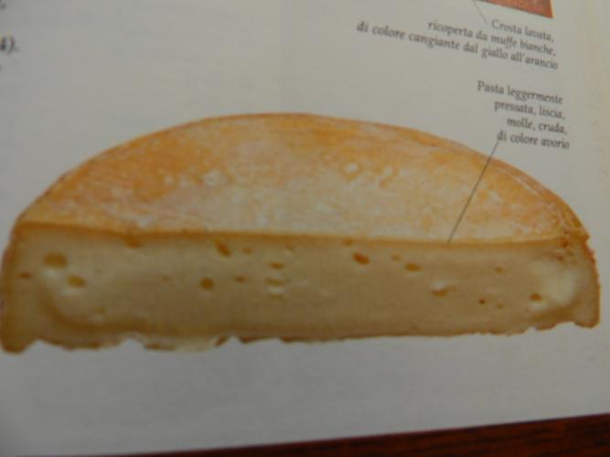formaggi%20003.JPG