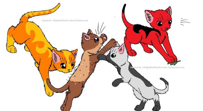 four_cats_fighting_moods_by_hollyleaflover101-d526nlx.jpg