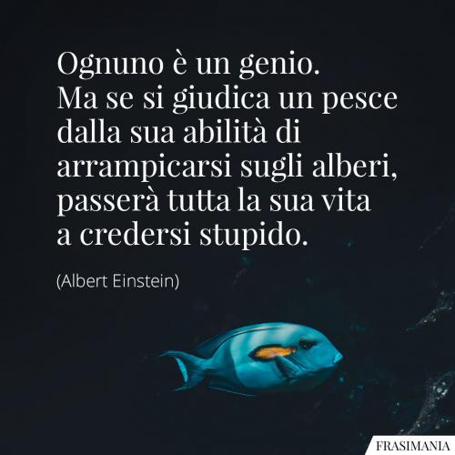 frasi-ognuno-genio-pesce-einstein.jpg