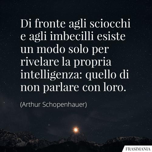 frasi-sciocchi-imbecilli-schopenhauer.jpg