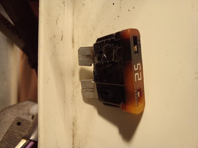 fusibile%2025Amp%2020220805_105040.jpg