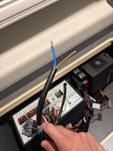 image(8282).png