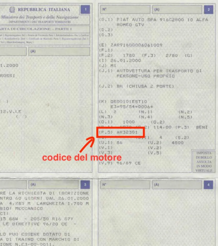 image(8384).png