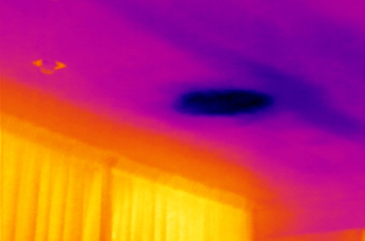 image(8548).png