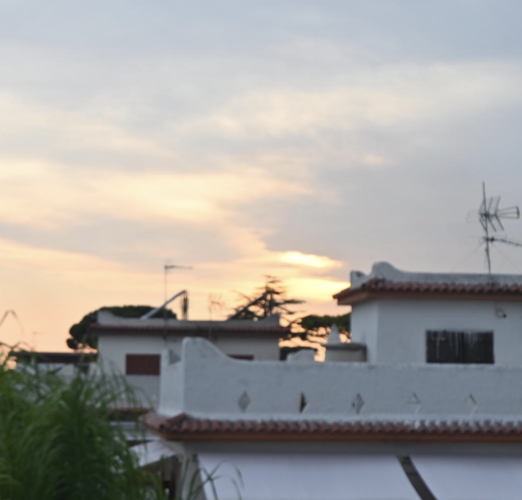 image(8558).png