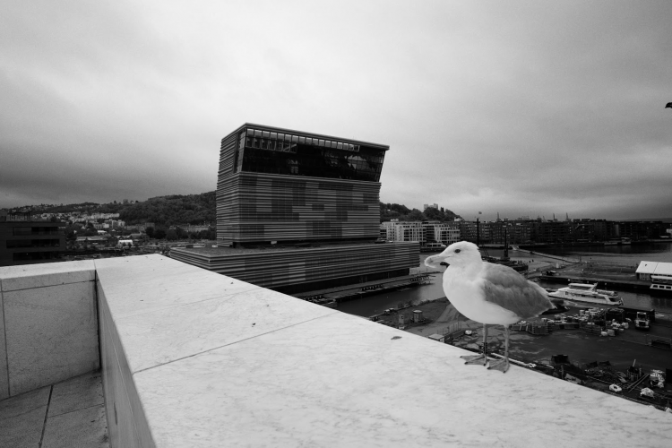 image(8583).png