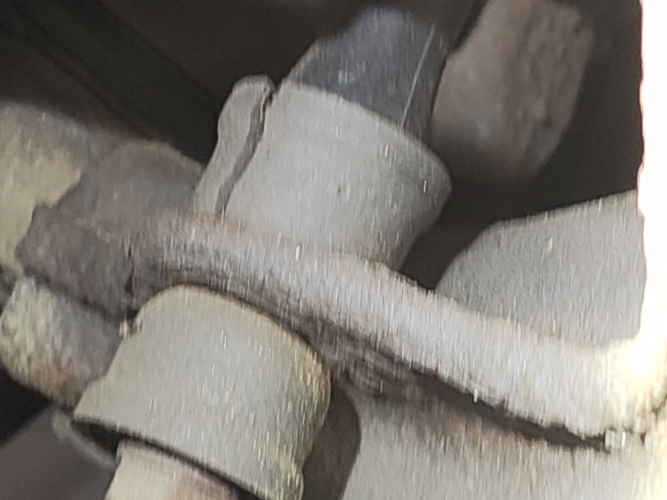 image(8598).png