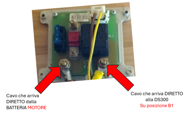 image(8671).png