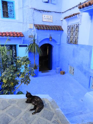 marocco%202023%201157.JPG