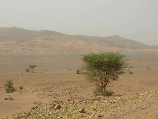 marocco%202023%20570(1).JPG