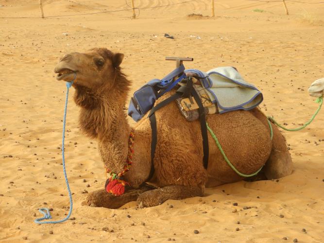 marocco%202023%20634(1).JPG