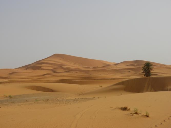marocco%202023%20643.JPG