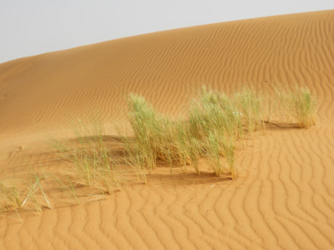 marocco%202023%20644(1).JPG